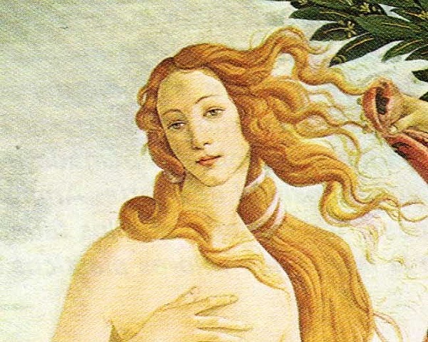 Soneto XXIII (en tanto que de rosa y azucena)