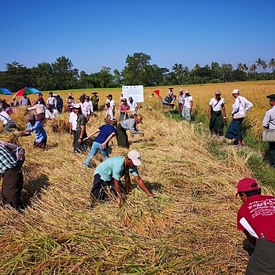 Timeline: Sustainable Cropland and Forest Management in Priority Ecosystems of Myanmar