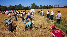 Timeline: Sustainable Cropland and Forest Management in Priority Ecosystems of Myanmar