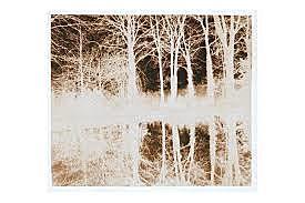 El calotipo de Talbot