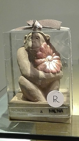 Una mona molt especial