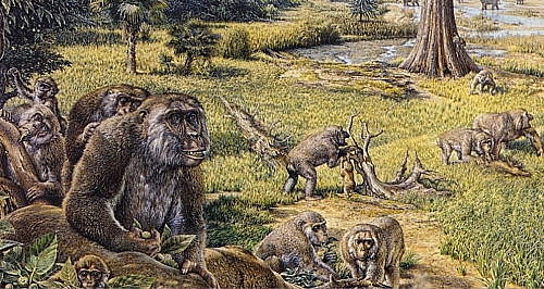 Genozoica Terciaria / Paleogeno.