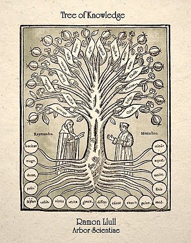 Arbre de la Ciència