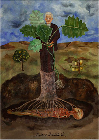 Portrait of Luther Burbank