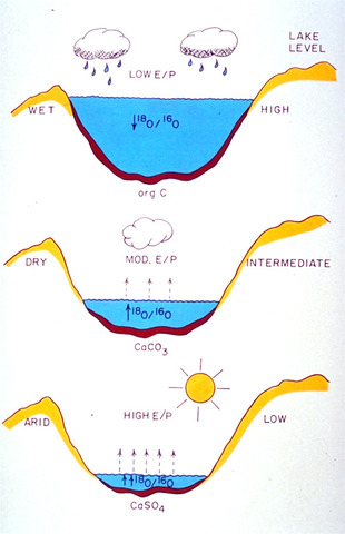 400 mya Oxygen nears present day levels
