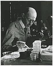 Первые клетки, выращенные вне тела