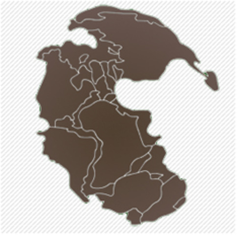 200 mya The pongaea breaks apart