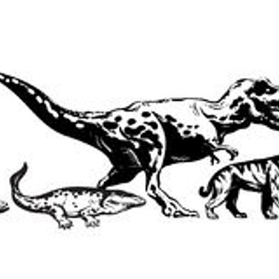 Timeline: Evolución de la vida en la tierra