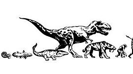 Timeline: Evolución de la vida en la tierra