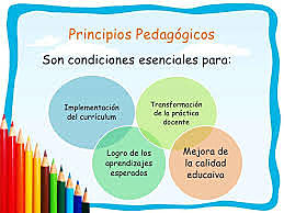 Principios Pedagógicos