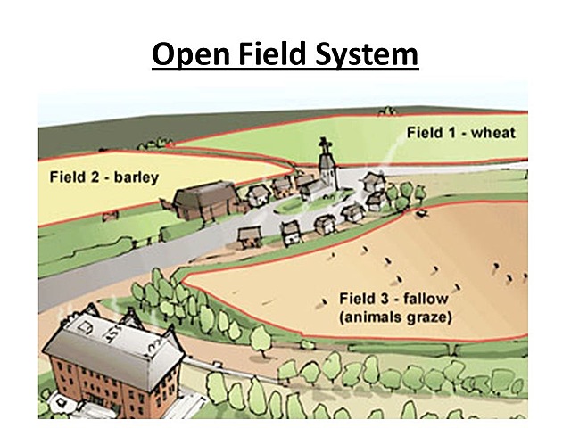 Open-Field System