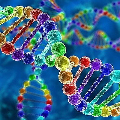 Timeline: История генетики. Лента времени.