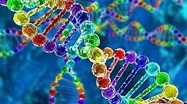 Timeline: История генетики. Лента времени.