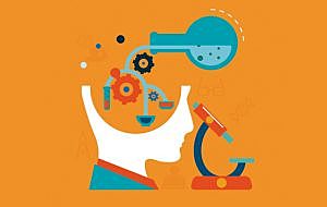 MERRILL. Objeto de conocimiento