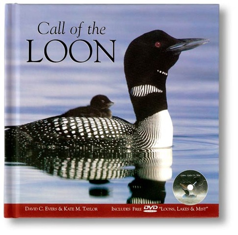 Institutional: Expectations in School Milestones:  First Realization of academic responsibility.