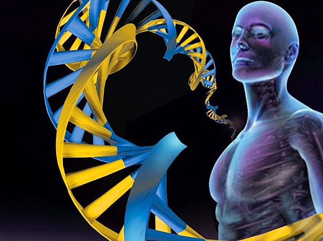 Геном человека прочитан!