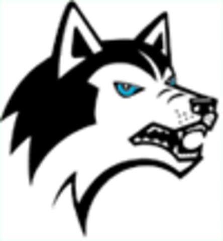 Planned: Perusing Desired Courses in High School  Milestones:  Movement towards long term career goals.