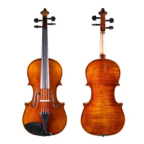 Started playing violin