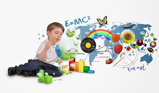 DAVID PAUL AUSUBEL (1918 - 2008)