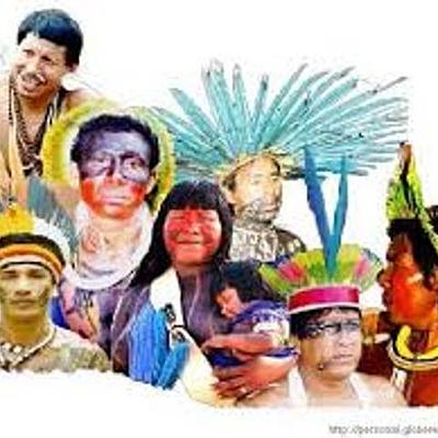 Timeline: Diversidad