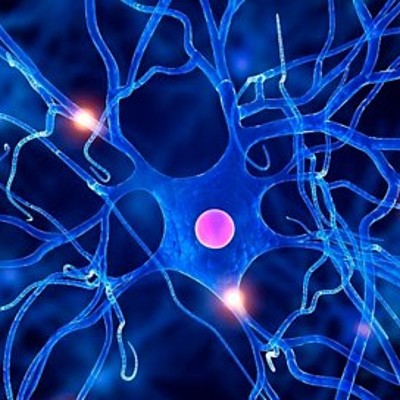 Timeline: Historia y Sistemas Teóricos de la Psicología Contemporánea