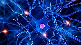 Timeline: Historia y Sistemas Teóricos de la Psicología Contemporánea