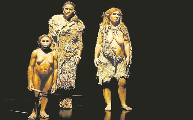 HOMO SAPIENS SAPIENS