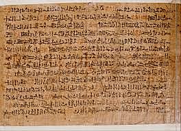 Papyrus in Egypt