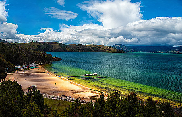 My first years of life