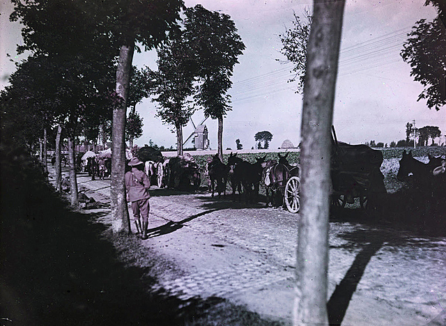 Beginning of World War I