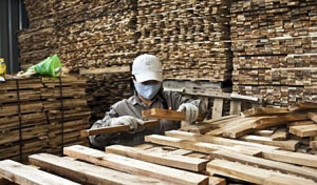 Productos madereros: producción, consumo y comercio