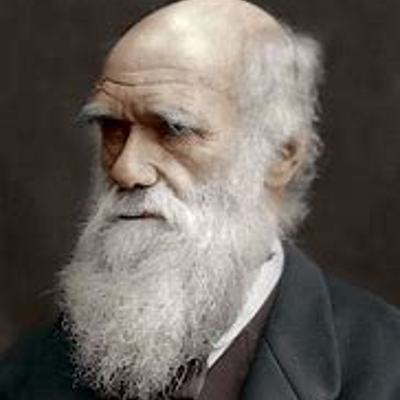 Timeline: Charles Darwin Timeline #1