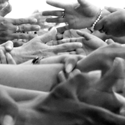 Timeline: Avance de actividades