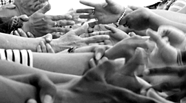 Timeline: Avance de actividades