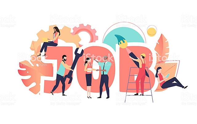 Inicio de la vida productiva