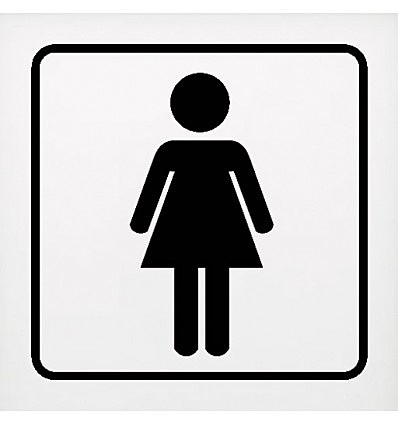 Ocupación principal de la población de jóvenes mujeres mexicanas residentes de Estados Unidos