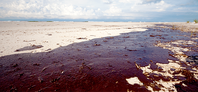 Deepwater Horizon Oil Spill