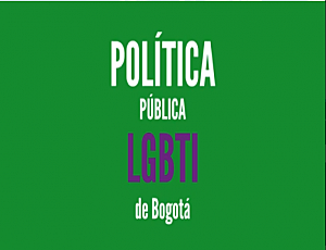 Lineamientos de politica pública Lgbt