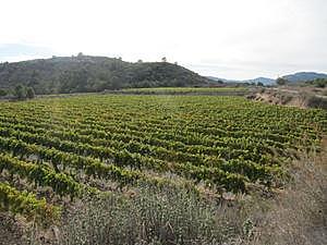 Leyes Licinias Sextas