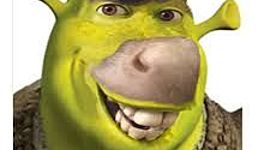 Timeline: dangerous tsunamis