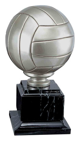 Boys Conference Volleyball Tournament