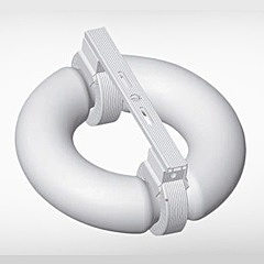 Induction light bulb