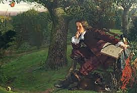 Universal gravitation laws (Newton)