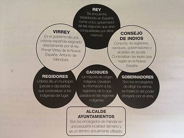 Organización Política