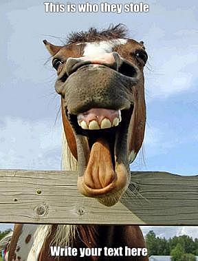 Battle of Lipantitlan