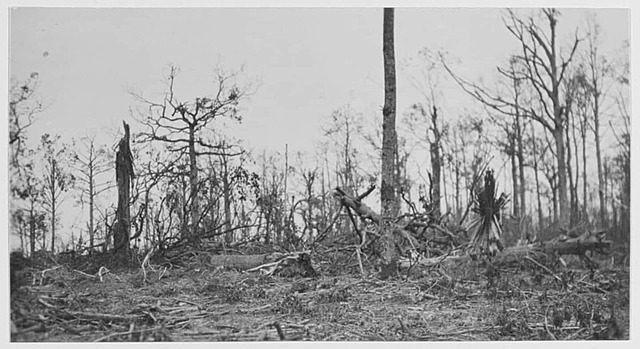 Sumner Takes Command