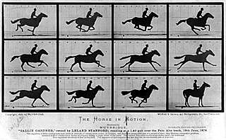 Eadweard Muybridge, The Horse in Motion