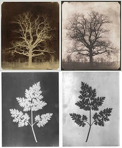 el calotipo de talbolt