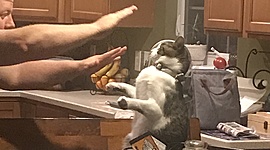 Timeline: Civil Rights am I right?