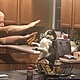 Img 4780